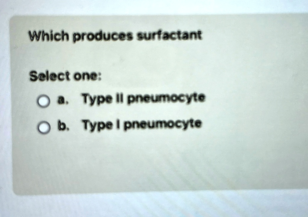 Which produces surfactant
Select one:
a. Type II pneumocyte
b. Type I pneumocyte
