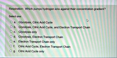 respiration which pumps hydrogen ions against their concentration gradient select one a glycolysis citric acid cycle b glycolysis citric acid cycle and electron transport chain c glycolysis  81173