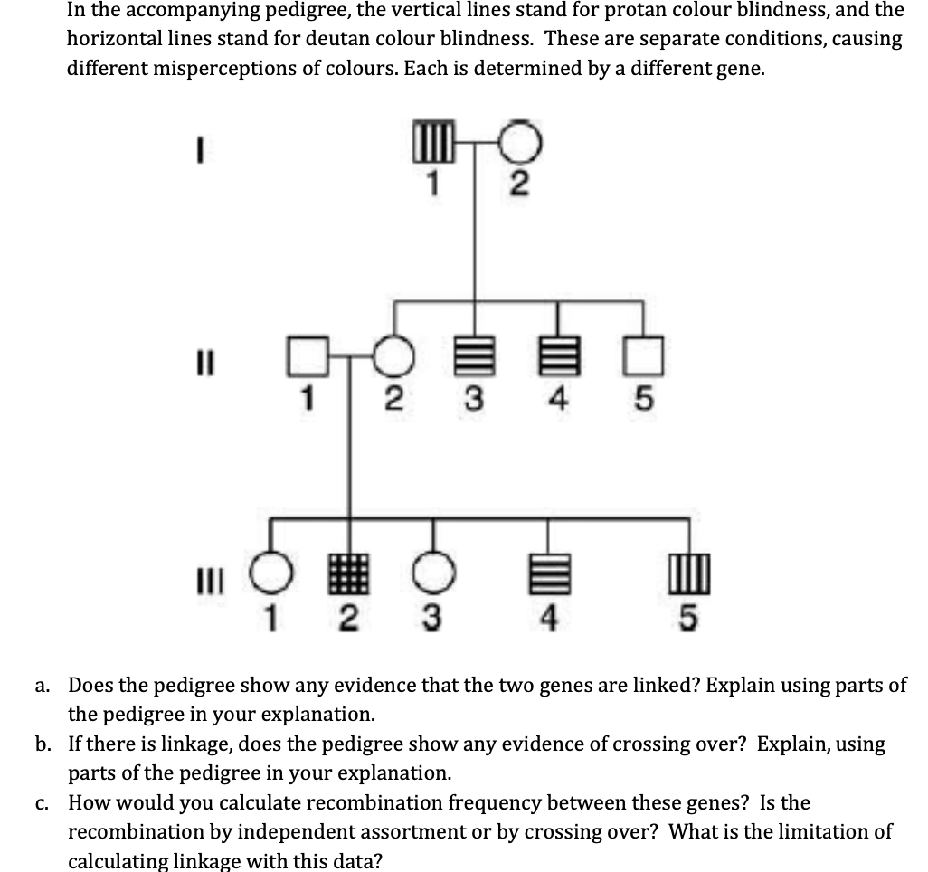 Solved In The Accompanying Pedigree The Vertical Lines Stand For