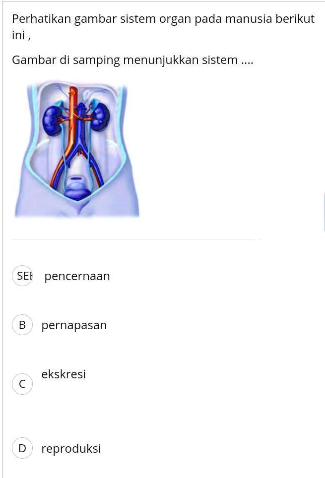 Solved Mohon Bantuannya Ini Segera Dikumpulkan Perhatikan Gambar