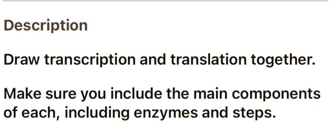 Draw Translation description draw transcription and translation together make sure you ...