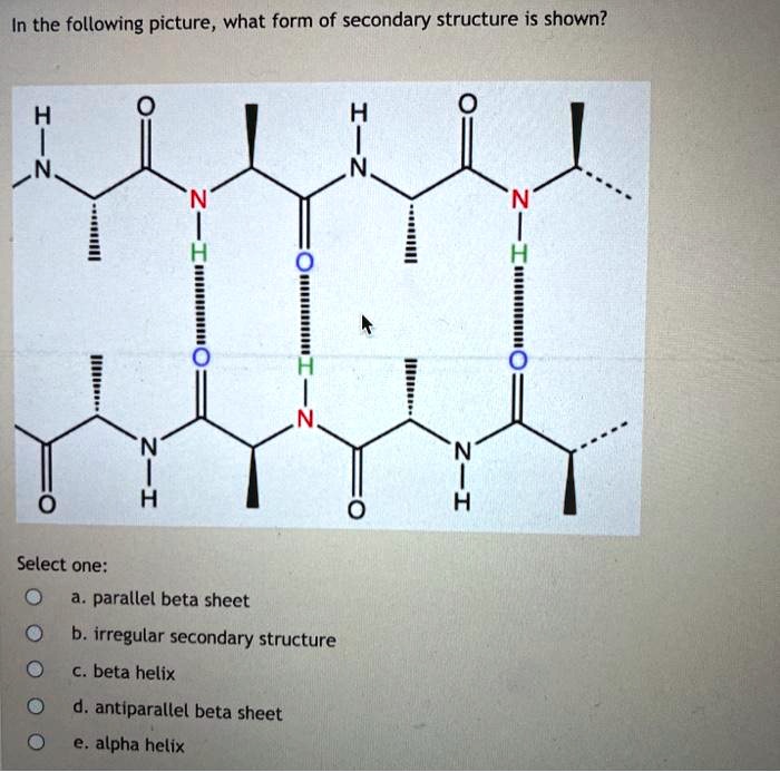 In the following picture, what form of secondary structure is shown? H ...