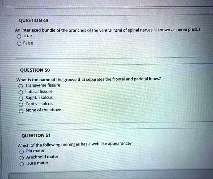 QUESTION 49
An interlaced bundle of the branches of the ventral rami of spinal nerves is known as nerve plexus.
True
False
QUESTION 50
What is the name of the groove that separates the frontal and parietal lobes?
Transverse fissure
Lateral fissure
Sagittal sulcus
Central sulcus
None of the above
QUESTION 51
Which of the following meninges has a web-like appearance?
Pia mater
Arachnoid mater
Dura mater