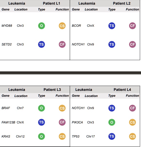 SOLVED Leukemia Patient L1 Leukemia Patient L2 Gene Location Type