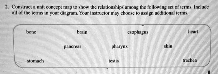 SOLVED: 2. Construct a unit concept map to show the relationships among ...