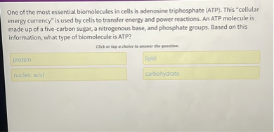 One of the most essential biomolecules in cells is adenosine triphosphate (ATP). This "cellular energy currency" is used by cells to transfer energy and power reactions. An ATP molecule is made up of a five-carbon sugar, a nitrogenous base, and phosphate groups. Based on this information, what type of biomolecule is ATP?

protein
lipid
nucleic acid
carbohydrate