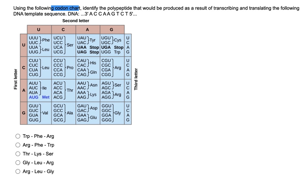 Using the following codon chart, identify the polypeptide that would be ...