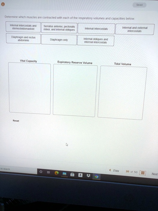 Determine which muscles are contracted with each of the respiratory ...