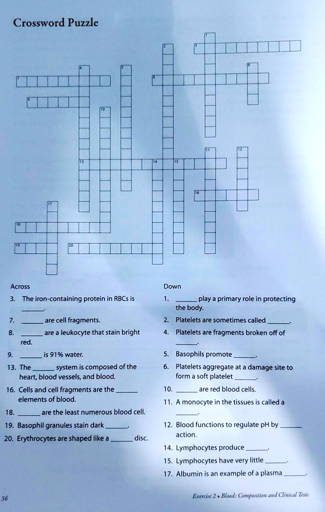 SOLVED: Crossword Puzzle Across Down The iron containing protein in