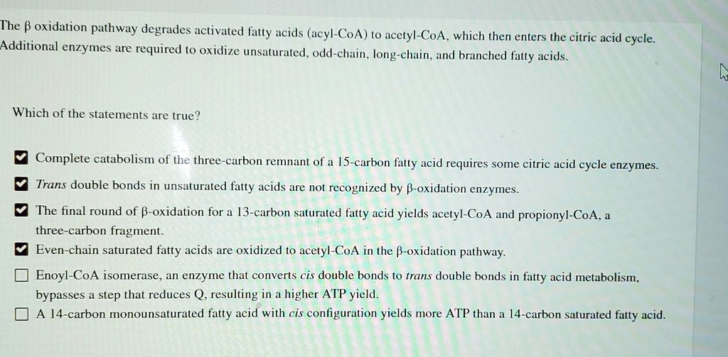 the beta oxidation pathway degrades activated fatty acids acyl coa to ...