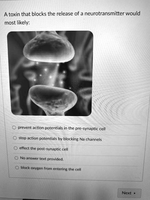 A toxin that blocks the release of a neurotransmitter would
most likely:
prevent action potentials in the pre-synaptic cell
stop action potentials by blocking Na channels
effect the post-synaptic cell
No answer text provided.
block oxygen from entering the cell