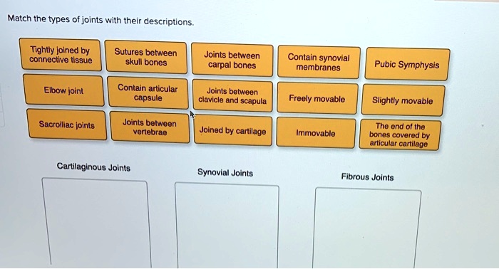 Match the types of joints with their descriptions.
Tightly joined by
connective tissue
Sutures between
skull bones
Joints between
carpal bones
Contain synovial
membranes
Pubic Symphysis
Elbow joint
Contain articular
capsule
Joints between
clavicle and scapula
Freely movable
Slightly movable
Sacroiliac joints
Joints between
vertebrae
Joined by cartilage
Immovable
The end of the
bones covered by
articular cartilage
Cartilaginous Joints
Synovial Joints
Fibrous Joints