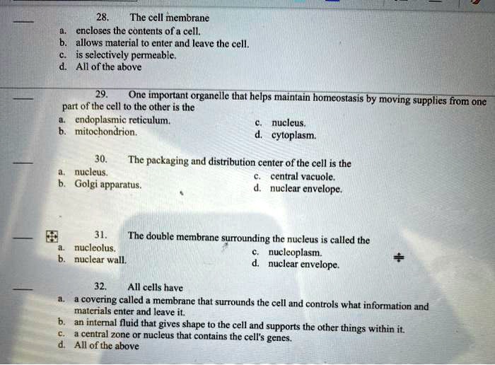 28. The cell membrane
a. encloses the contents of a cell.
b. allows material to enter and leave the cell.
c. is selectively permeable.
d. All of the above

29. One important organelle that helps maintain homeostasis by moving supplies from one part of the cell to the other is the
a. endoplasmic reticulum.
c. nucleus.
b. mitochondrion.
d. cytoplasm.

30. The packaging and distribution center of the cell is the
a. nucleus.
c. central vacuole.
b. Golgi apparatus.
d. nuclear envelope.

31. The double membrane surrounding the nucleus is called the
a. nucleolus.
c. nucleoplasm.
b. nuclear wall.
d. nuclear envelope.

32. All cells have
a. a covering called a membrane that surrounds the cell and controls what information and materials enter and leave it.
b. an internal fluid that gives shape to the cell and supports the other things within it.
c. a central zone or nucleus that contains the cell's genes.
d. All of the above