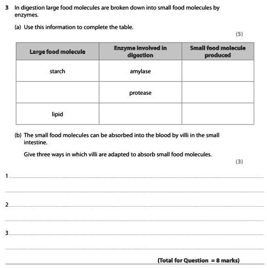 SOLVED In digestion large food molecules are broken down into small food molecules by enzymes