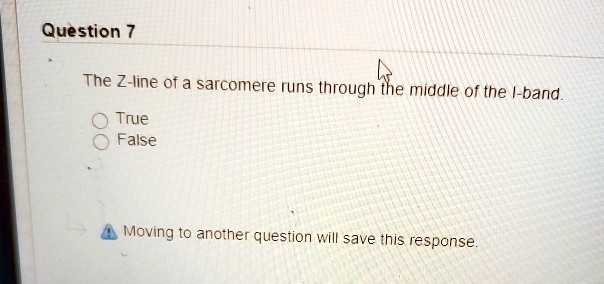 The Z-line of a sarcomere runs through the middle of the I-band.
True
False