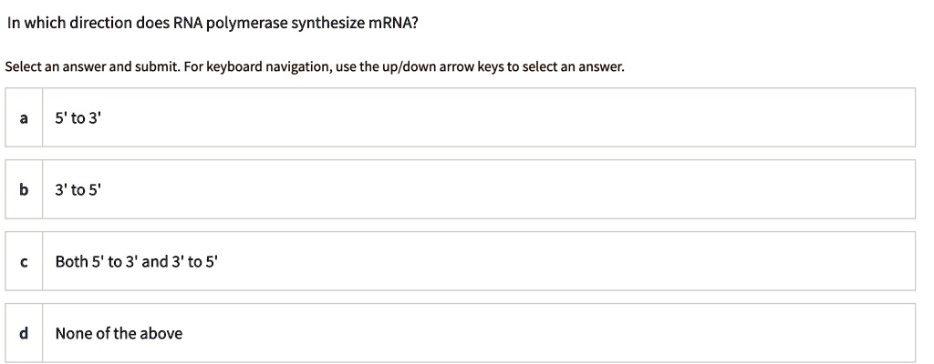 in which direction does rna polymerase synthesize mrna select an answer
