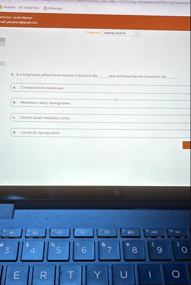 nearpod vb visible body webassign instructor jacob maxson email jamaxsongmailcom previous activity 16 of 16 5 in a long bone yellow bone marrow is found in the and red bone marrow is found i 53713