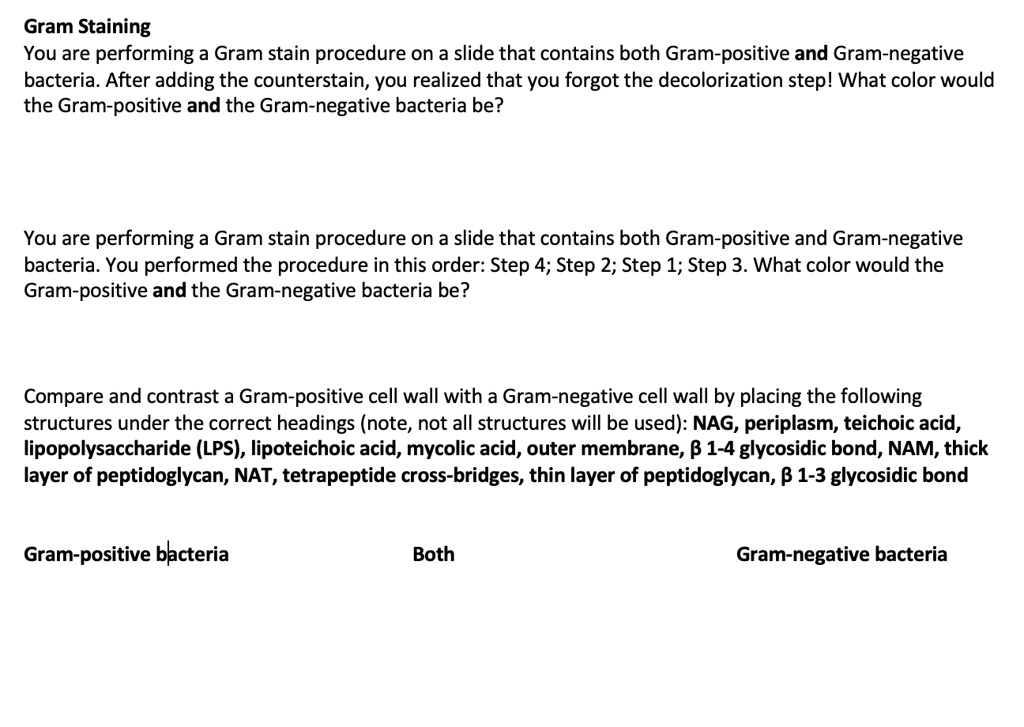 SOLVED: Gram Staining You are performing a Gram stain procedure on a ...