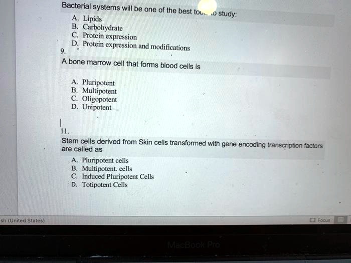 SOLVED Bacterial systems will be one of the best topics. Lipids study
