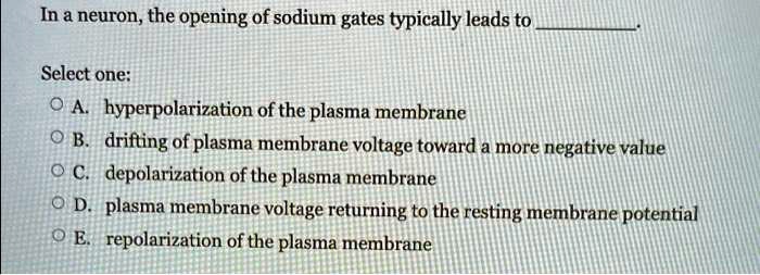 Opening Of Sodium Gates Typically Leads To