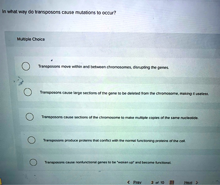 In what way do transposons cause mutations to occur?
Transposons move within and between chromosomes, disrupting the genes.
Transposons cause large sections of the gene to be deleted from the chromosome, making it useless.
Transposons cause sections of the chromosome to make multiple copies of the same nucleotide.
Transposons produce proteins that conflict with the normal functioning proteins of the cell.
Transposons cause nonfunctional genes to be "woken up" and become functional.