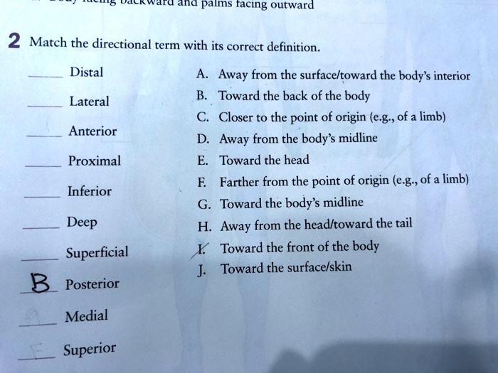 2 Match the directional term with its correct definition.

Distal
Lateral
Anterior
Proximal
Inferior
Deep
Superficial
Posterior
Medial
Superior

A. Away from the surface/toward the body's interior
B. Toward the back of the body
C. Closer to the point of origin (e.g., of a limb)
D. Away from the body's midline
E. Toward the head
F. Farther from the point of origin (e.g., of a limb)
G. Toward the body's midline
H. Away from the head/toward the tail
I. Toward the front of the body
J. Toward the surface/skin