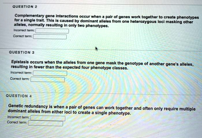 QUESTION 2

Complementary gene interactions occur when a pair of genes work together to create phenotypes for a single trait. This is caused by dominant alleles from one heterozygous loci masking other alleles, normally resulting in only two phenotypes.
Incorrect term:
Correct term:

QUESTION 3

Epistasis occurs when the alleles from one gene mask the genotype of another gene's alleles, resulting in fewer than the expected four phenotype classes.
Incorrect term:
Correct term:

QUESTION 4

Genetic redundancy is when a pair of genes can work together and often only require multiple dominant alleles from either loci to create a single phenotype.
Incorrect term:
Correct term: