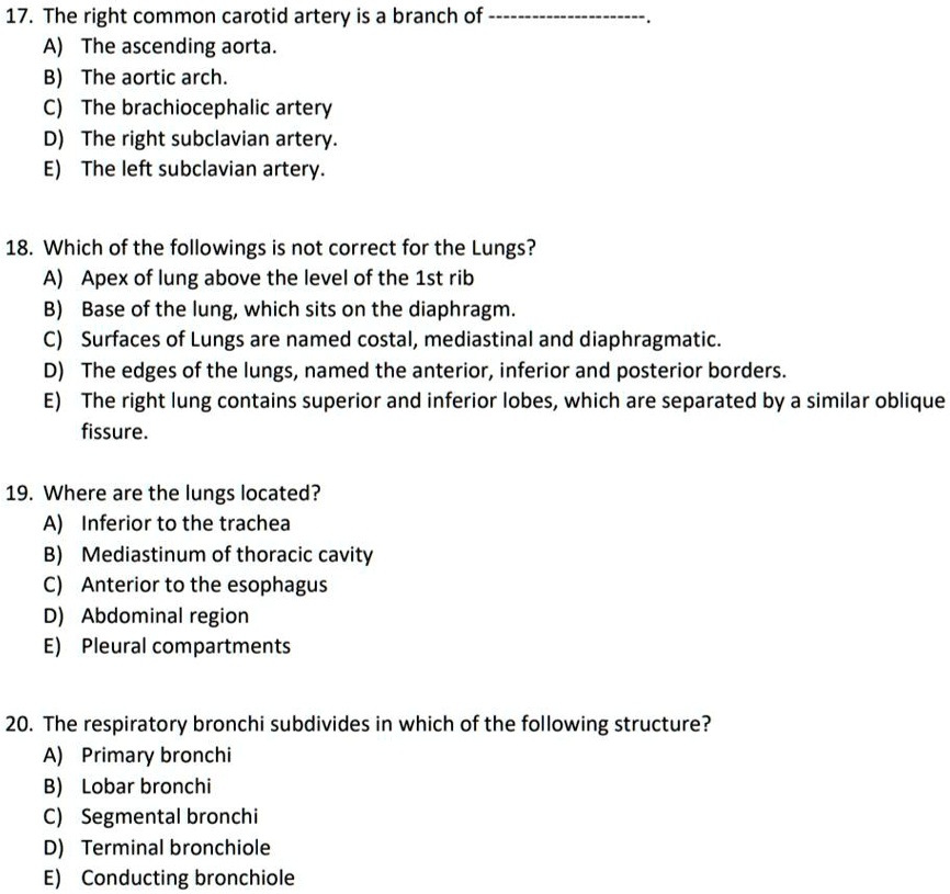 17. The right common carotid artery is a branch of A) The ascending ...