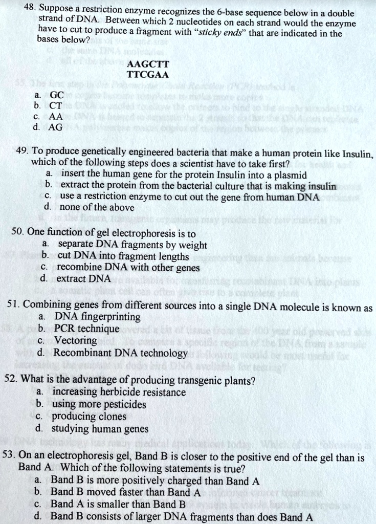 48. Suppose a restriction enzyme recognizes the 6-base sequence below in a double strand of DNA. Between which 2 nucleotides on each strand would the enzyme have to cut to produce a fragment with "sticky ends" that are indicated in the bases below?

AAGCTT
TTCGAA

a. GC
b. CT
c. AA
d. AG

49. To produce genetically engineered bacteria that make a human protein like Insulin, which of the following steps does a scientist have to take first?
a. insert the human gene for the protein Insulin into a plasmid
b. extract the protein from the bacterial culture that is making insulin
c. use a restriction enzyme to cut out the gene from human DNA
d. none of the above

50. One function of gel electrophoresis is to
a. separate DNA fragments by weight
b. cut DNA into fragment lengths
c. recombine DNA with other genes
d. extract DNA

51. Combining genes from different sources into a single DNA molecule is known as
a. DNA fingerprinting
b. PCR technique
c. Vectoring
d. Recombinant DNA technology

52. What is the advantage of producing transgenic plants?
a. increasing herbicide resistance
b. using more pesticides
c. producing clones
d. studying human genes

53. On an electrophoresis gel, Band B is closer to the positive end of the gel than is Band A. Which of the following statements is true?
a. Band B is more positively charged than Band A
b. Band B moved faster than Band A
c. Band A is smaller than Band B
d. Band B consists of larger DNA fragments than does Band A