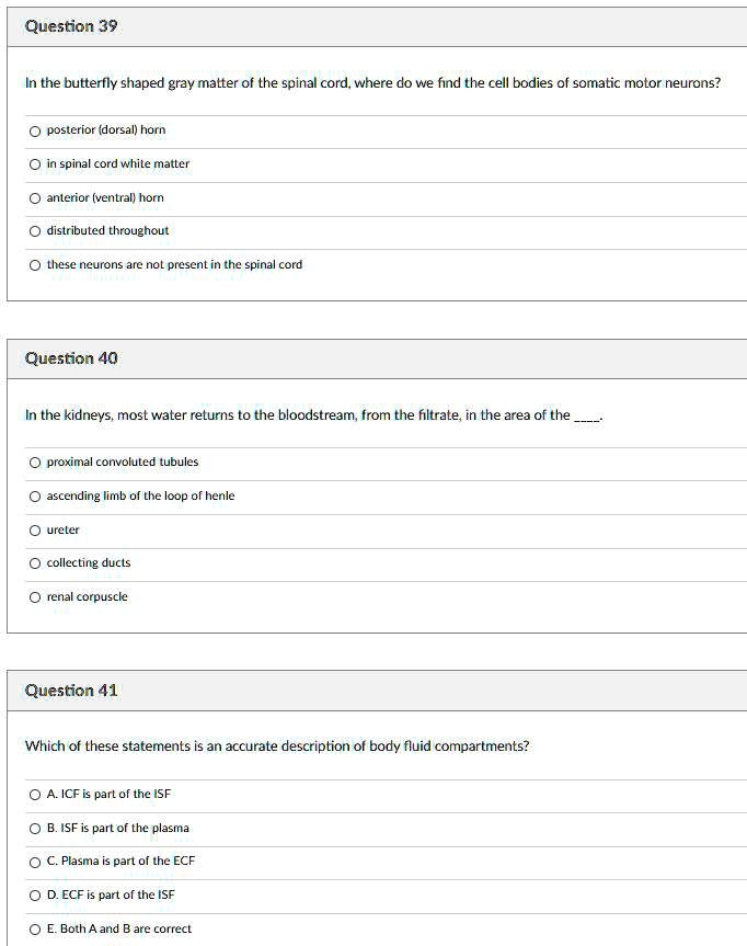 Solved: Question 39 In The Butterfly-shaped Gray Matter Of The Spinal 