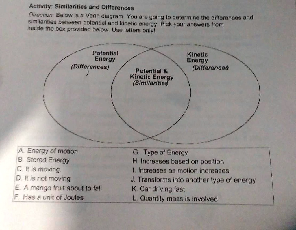 SOLVED Similarities and Differences Activity Similarities and