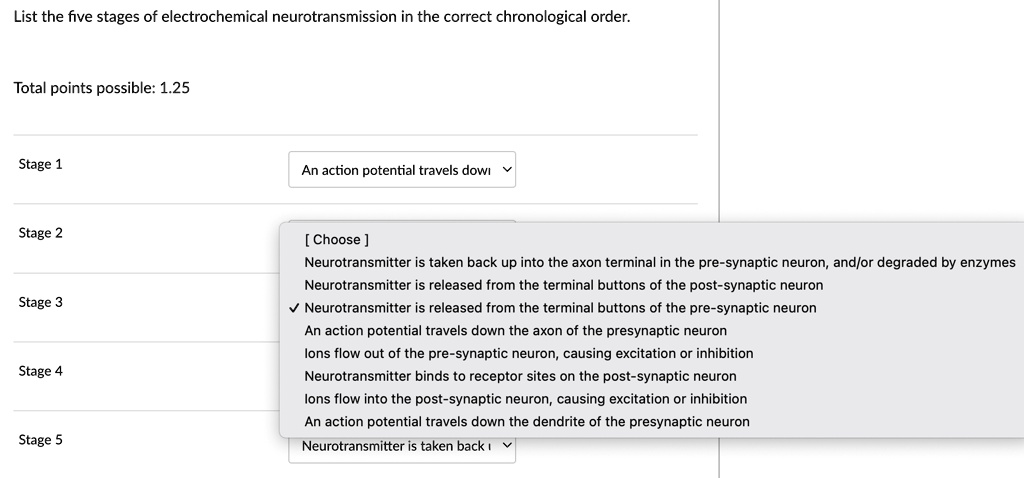 SOLVED: List the five stages of electrochemical neurotransmission in