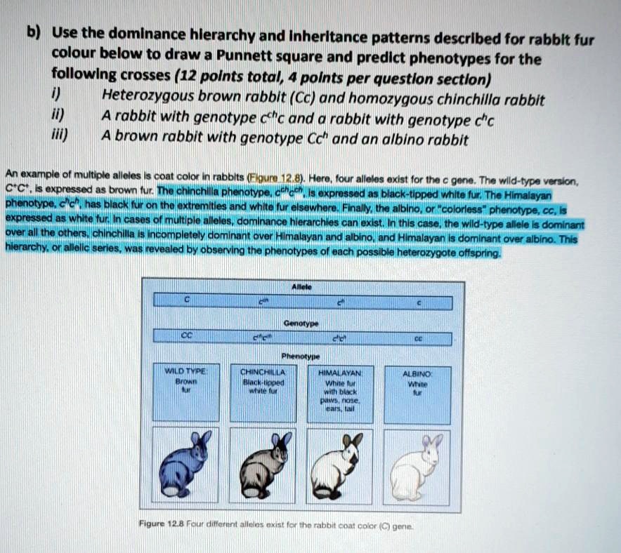 SOLVED Use the dominance hierarchy and inheritance patterns described