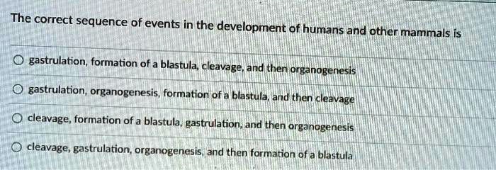 The correct sequence of events in the development of humans and other mammals is
gastrulation, formation of a blastula, cleavage, and then organogenesis
gastrulation, organogenesis, formation of a blastula, and then cleavage
cleavage, formation of a blastula, gastrulation, and then organogenesis
cleavage, gastrulation, organogenesis, and then formation of a blastula