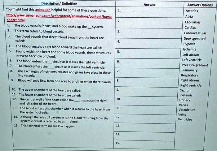 Description/ Definition
Answer
Answer Options
You might find this animation helpful for some of these questions.
http://www.sumanasinc.com/webcontent/animations/content/humanheart.html
Arteries
Atria
Capillaries
Cardiac
Cardiovascular
Deoxygenated
Hypoxia
Ischemia
Left atrium
Left ventricle
Pressure gradient
Pulmonary
Respiratory
Right atrium
Right ventricle
Septum
Systemic
Urinary
Valves
Vasculature
Veins
Ventricles
1.
1. The blood vessels, heart, and blood make up the  system.
2. This term refers to blood vessels.
2.
3. The blood vessels that direct blood away from the heart are called:
3.
4. The blood vessels direct blood toward the heart are called:
4.
5. Found within the heart and some blood vessels, these structures prevent backflow of blood.
5.
6. The blood enters the  circuit as it leaves the right ventricle.
6.
7. The blood enters the  circuit as it leaves the left ventricle.
7.
8. The exchanges of nutrients, wastes and gases take place in these tiny vessels.
8.
9. Blood will only flow from one area to another when there is a/an .
9.
10. The upper chambers of the heart are called:
10.
11. The lower chambers of the heart are called:
11.
12. The central wall of the heart called the , separate the right and left sides of the heart.
12.
13. The blood enters this chamber when it returns to the heart from the systemic circuit.
13.
14. Although there is still oxygen in it, the blood returning from the systemic circuit is referred to as  blood.
14.
15. This technical term means low oxygen.
15.