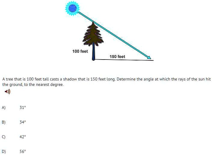 how-far-is-150-ft-grainneharlie