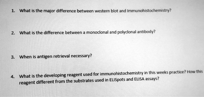 1. What is the major difference between western blot and Immunohistochemistry?
2. What is the difference between a monoclonal and polyclonal antibody?
3. When is antigen retrieval necessary?
4. What is the developing reagent used for immunohistochemistry in this weeks practice? How this
reagent different from the substrates used in ELISpots and ELISA assays?