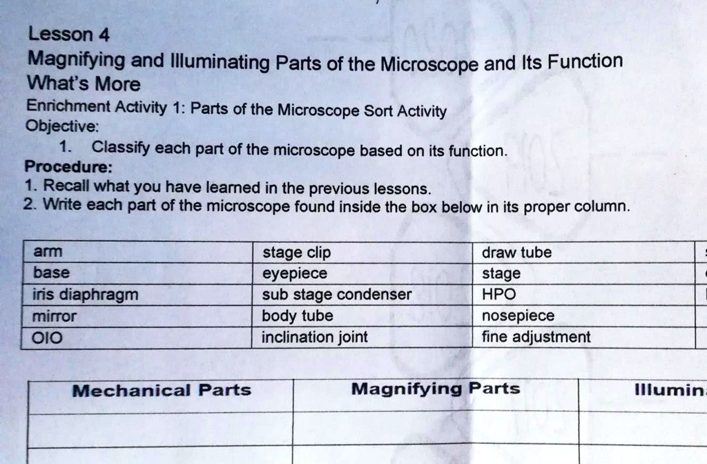 SOLVED Lesson 4 Magnifying and Illuminating Parts of the Microscope
