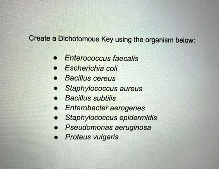 Create a Dichotomous Key using the organism below: • Enterococcus ...