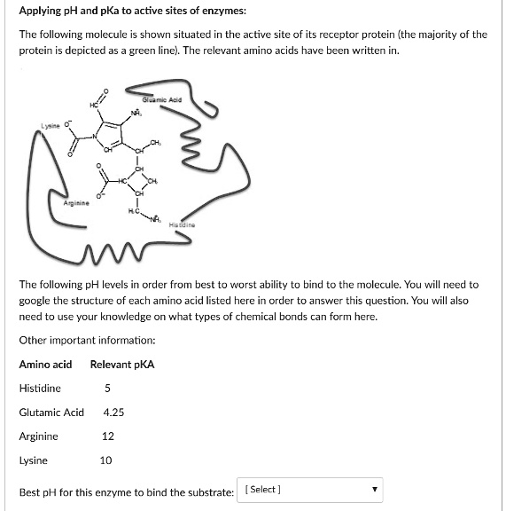 SOLVED: Applying pH and pKa to active sites of enzymes: The following ...