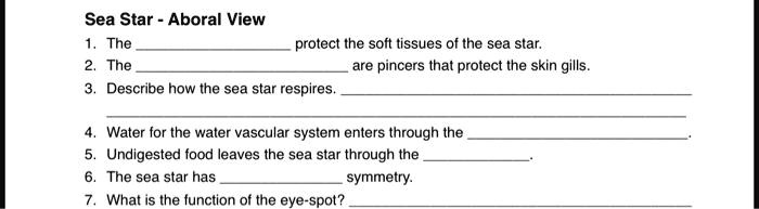 Sea Star - Aboral View
1. The  protect the soft tissues of the sea star.
2. The  are pincers that protect the skin gills.
3. Describe how the sea star respires.
4. Water for the water vascular system enters through the .
5. Undigested food leaves the sea star through the .
6. The sea star has  symmetry.
7. What is the function of the eye-spot?