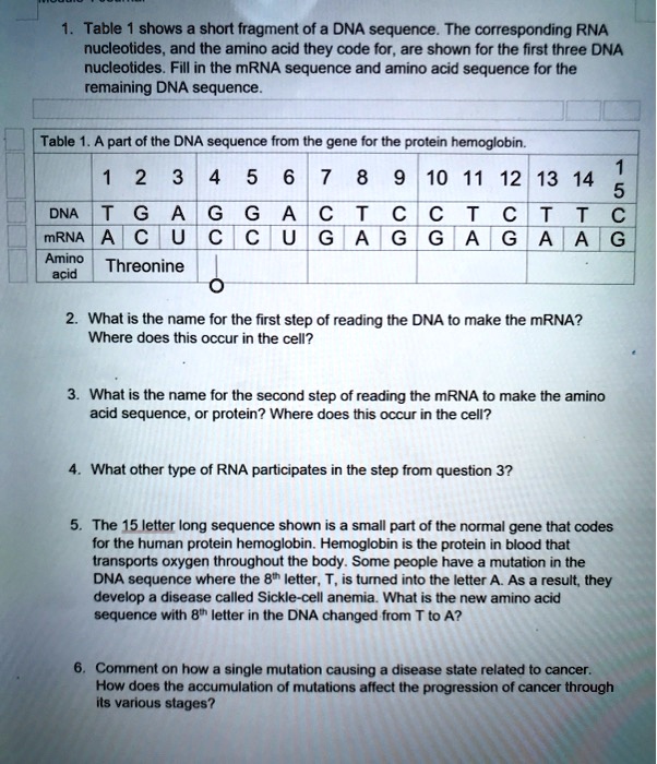 table shows short fragment of a dna sequence the corresponding rna ...