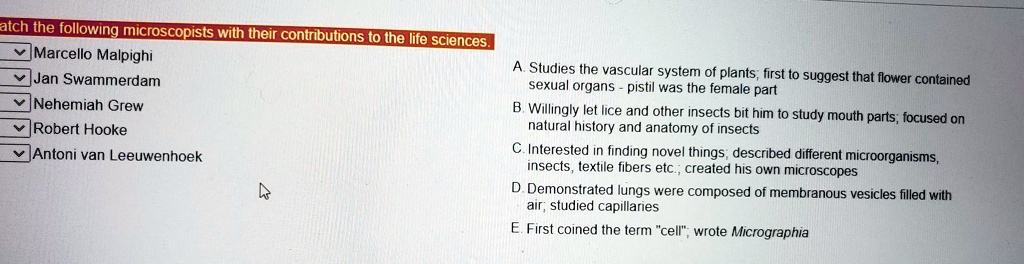 Match the following microscopists with their contributions to the life sciences.
Marcello Malpighi
Jan Swammerdam
Nehemiah Grew
Robert Hooke
Antoni van Leeuwenhoek
A. Studies the vascular system of plants; first to suggest that flower contained sexual organs - pistil was the female part
B. Willingly let lice and other insects bit him to study mouth parts; focused on natural history and anatomy of insects
C. Interested in finding novel things; described different microorganisms, insects, textile fibers etc.; created his own microscopes
D. Demonstrated lungs were composed of membranous vesicles filled with air; studied capillaries
E. First coined the term "cell"; wrote Micrographia