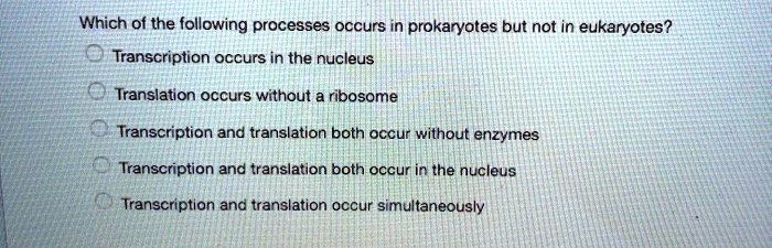 Which of the following processes occurs in prokaryotes but not in eukaryotes?
Transcription occurs in the nucleus
Translation occurs without a ribosome
Transcription and translation both occur without enzymes
Transcription and translation both occur in the nucleus
Transcription and translation occur simultaneously
