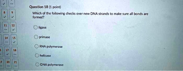 Question 18 (1 point)
Which of the following checks over new DNA strands to make sure all bonds are formed?
ligase
primase
RNA polymerase
helicase
DNA polymerase