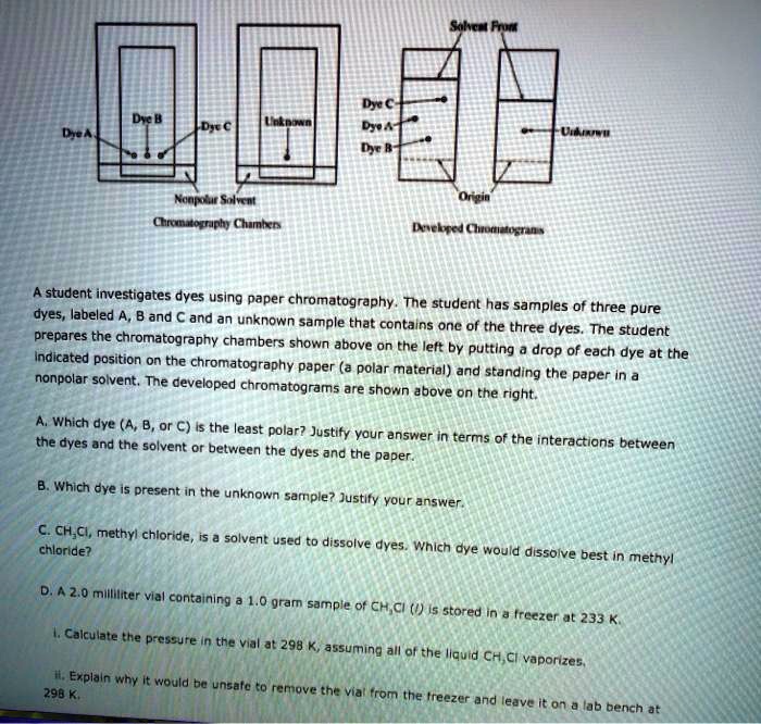 SOLVED Dyde Dye Die D Dyet student investigates dyes using paper