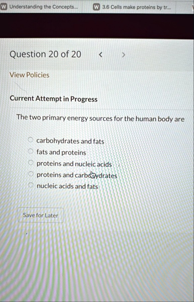 w understanding the concepts w 36 cells make proteins by tr question 20 of 20 view policies current attempt in progress the two primary energy sources for the human body are carbohydrates an 38455