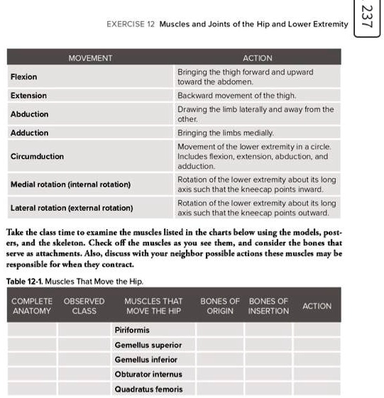 EXERCISE 12: Muscles and Joints of the Hip and Lower Extremity 237 ...