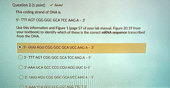 SOLVED: Question 2 (1 point) Saved This coding strand of DNA is 5 ...