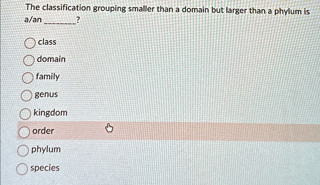 the classification grouping smaller than a domain but larger than a ...